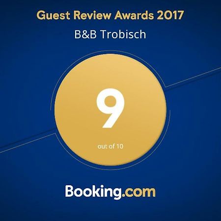 B&B Trobisch Dresde Extérieur photo